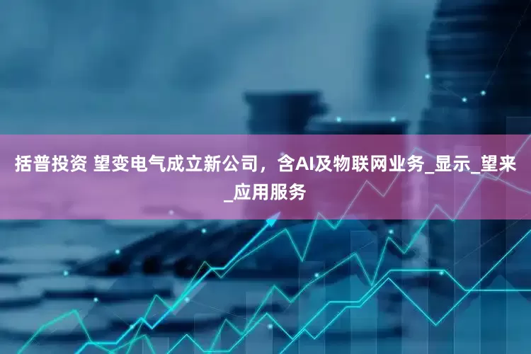 括普投资 望变电气成立新公司，含AI及物联网业务_显示_望来_应用服务