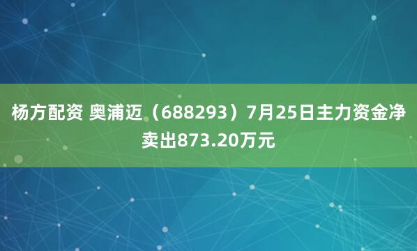 杨方配资 奥浦迈（688293）7月25日主力资金净卖出873.20万元
