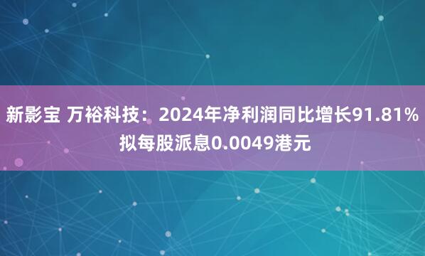 新影宝 万裕科技：2024年净利润同比增长91.81% 拟每股派息0.0049港元