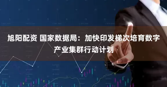 旭阳配资 国家数据局：加快印发梯次培育数字产业集群行动计划